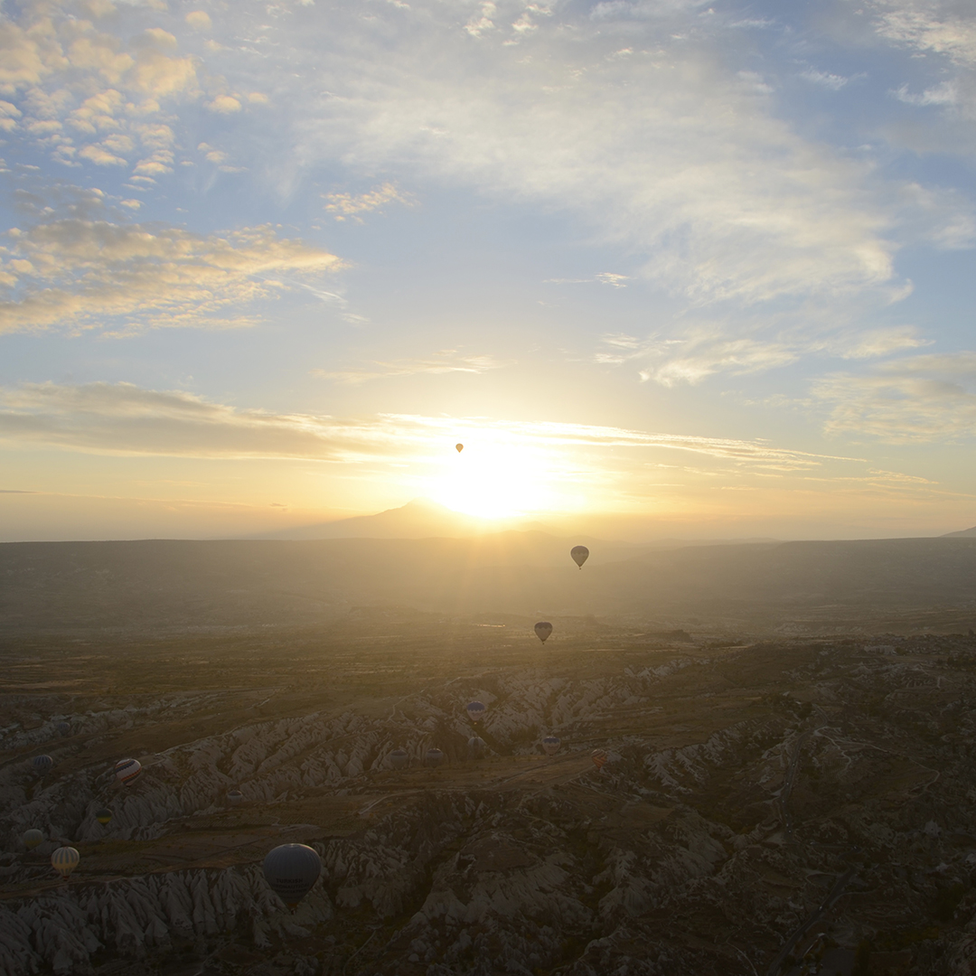turkey2